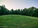 2 Beautiful lots in Green Farms subdivision. With almost 2 acres for sale in Falls Of Rough Kentucky Grayson County County on GolfHomes.com