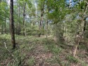 Nice Level Wooded Interior 0.286 Acre Lot located in Beautiful, Texas