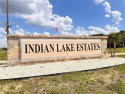 Stunning Waterfront Lot in Indian Lake Estates - Build Your for sale in Indian Lake Estates Florida Polk County County on GolfHomes.com
