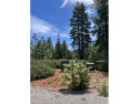 Nice golf course views of the 13th hole on Bailey Creek.  Dyer for sale in Lake Almanor California Plumas County County on GolfHomes.com