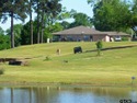  Ad# 5234399 golf course property for sale on GolfHomes.com