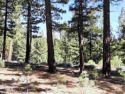 Situated in a gated subdivision, this lovely lot overlooks the for sale in Portola California Plumas County County on GolfHomes.com
