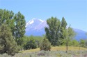 Gorgeous oversized Mt Shasta View Golf Course lot. Level and for sale in Weed California Siskiyou County County on GolfHomes.com