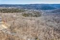 Stunning views of Ozarks on 1.36 acres; a perfect spot to build for sale in Holiday Island Arkansas Carroll County County on GolfHomes.com