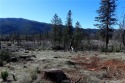 Close to a half acre, this ample lot includes a level building for sale in Cobb California Lake County County on GolfHomes.com