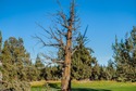  Ad# 6748897 golf course property for sale on GolfHomes.com