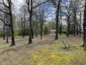 3 LAKE VIEW Lots in Horseshoe Bend, AR!  These three lots have a for sale in Horseshoe Bend Arkansas Izard County County on GolfHomes.com