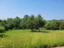 Two lots off Apple Canyon Lake golf course now available as a for sale in Apple River Illinois Jo Daviess County County on GolfHomes.com
