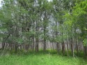RARE, OUT-OF-FLOODPLAIN, FLAT & BUILDABLE LOT ACROSS FROM THE for sale in Bastrop Texas Bastrop County County on GolfHomes.com