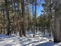 Prime lot zoned commercial bordering greenbelt. Close to golf for sale in Angel Fire New Mexico Colfax County County on GolfHomes.com