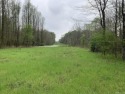 Lots of possibilities for this approximately 3.30 acres of for sale in Russellville Arkansas Pope County County on GolfHomes.com