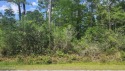 Ready to build your dream home near the coast? Tucked away in for sale in Boiling Spring Lakes North Carolina Brunswick County County on GolfHomes.com