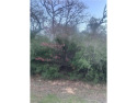 Beautiful, heavily wooded lots available in Hilltop Lakes for sale in Hilltop Lakes Texas Leon County County on GolfHomes.com