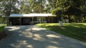 A beautiful water-view home on Toledo Bend Lake.  THIS ONE for sale in Hemphill Texas Jasper County County on GolfHomes.com