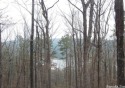 Great Lake Views! Looking to build in a private, retirement for sale in Hot Springs Village Arkansas Garland County County on GolfHomes.com