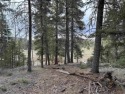 Beautiful, forested land located in the heart of the Valle for sale in Taos New Mexico Taos County County on GolfHomes.com