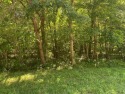 Great all wooded lot in Cumberland Cove.  Adjoining lot that for sale in Monterey Tennessee Cumberland County County on GolfHomes.com