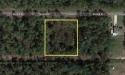 Come build your forever home on 1 acre lot located in the lake for sale in Indian Lake Estates Florida Polk County County on GolfHomes.com