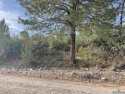 Golf Course Lot.  Located In The Sacramento Mountains,New Mexico for sale in Timberon New Mexico Otero County County on GolfHomes.com
