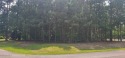 The perfect spot in the perfect location in beautiful Albemarle for sale in Hertford North Carolina Perquimans County County on GolfHomes.com