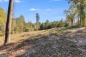 Beautiful 16-acre lot located in Northern Chambers County within for sale in Lanett Alabama Chambers County County on GolfHomes.com