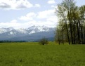 Remarks: Prime Arrow Hill Ranch lot just waiting for you! 6 for sale in Hamilton Montana Ravalli County County on GolfHomes.com