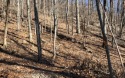 This is your chance to own OVER TWO ACRES in the beautiful for sale in Jasper Georgia Pickens County County on GolfHomes.com