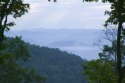 Offering a premier mountain top view, this homesite has panorama for sale in White Sulphur Springs West Virginia Greenbrier County County on GolfHomes.com