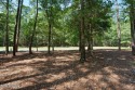 Premier Homesite in Rivers Edge Golf Community

Discover an for sale in Shallotte North Carolina Brunswick County County on GolfHomes.com