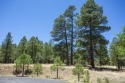  Ad# 6347821 golf course property for sale on GolfHomes.com