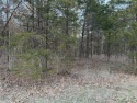 Are you searching for a large lot within Raintree? This is your for sale in Hillsboro Missouri Jefferson County County on GolfHomes.com