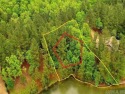 Claim your own piece of paradise with this 0.45-acre of land in for sale in Hot Springs Village Arkansas Saline County County on GolfHomes.com