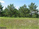 OPPORTUNITY AWAITS - Two fantastic lots in Ottertail City, to be for sale in Ottertail Minnesota Otter Tail County County on GolfHomes.com