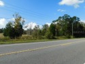 AMAZING POSSIBILITIES AWAIT YOUl 3 Parcels of prime property in for sale in Webster Florida Hernando County County on GolfHomes.com