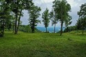 Welcome to Jasper Highlands. The 2 lots that the property for sale in Jasper Tennessee Marion County County on GolfHomes.com