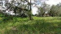 BEAUTIFUL WOODED BUILDING SITE!  This property is just over a for sale in Dade City Florida Hernando County County on GolfHomes.com