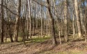Great buildable lot with survey and soil test done. Build your, Georgia
