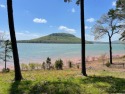 The lake front lot everyone has been waiting for.  Unobstructed for sale in Fairfield Bay Arkansas Van Buren County County on GolfHomes.com