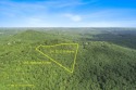 Enjoy Long Range Mountain Views from this 5.19 Acre Mountainside for sale in Clarkesville Georgia Habersham County County on GolfHomes.com