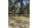 Just a hop, skip and jump to Palatka Golf Course. High and dry for sale in Palatka Florida Putnam County County on GolfHomes.com