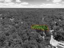 Check out this wooded lot in Lake Forest! Build your dream home for sale in Daphne Alabama Baldwin County County on GolfHomes.com