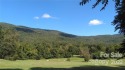 Beautiful level lot in Linville Falls Mountain Club! Spectacular for sale in Marion North Carolina McDowell County County on GolfHomes.com