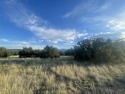 Great opportunity to own multiple parcels inside the gated for sale in Walsenburg Colorado Huerfano County County on GolfHomes.com