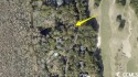 Build your dream home on this high lot located on Richmond Hill for sale in Murrells Inlet South Carolina Georgetown County County on GolfHomes.com