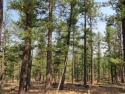 Lot 35 Is A Larger 0.722 Acre Lot And Is Situated In Higher for sale in Rociada New Mexico San Miguel County County on GolfHomes.com