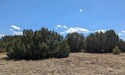 IT IS TIME TO OWN LAND IN COLORADO!!! This acreage is made up of for sale in Walsenburg Colorado Huerfano County County on GolfHomes.com