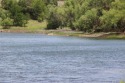 PRIVATE LAKE WATERFRONT LOT! THIS IS LOT 8e enjoy some peace and for sale in Brownwood Texas Brown County County on GolfHomes.com