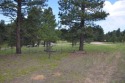 Ad# 6497679 golf course property for sale on GolfHomes.com