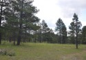  Ad# 6497679 golf course property for sale on GolfHomes.com