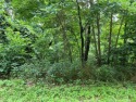 Own a serene slice of the Ozarks with 1.36 acres in Holiday, Arkansas